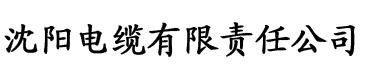 91香蕉视频污成人电缆厂logo